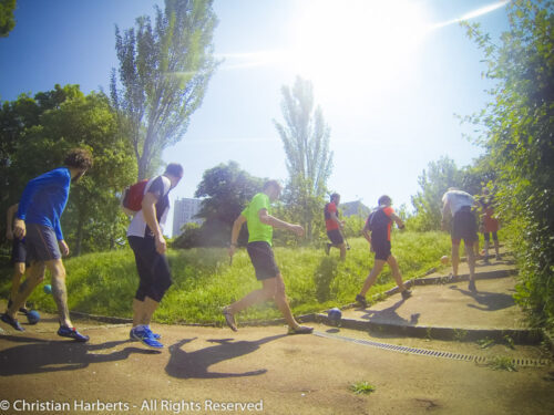 1483976_928430397219517_9103859164270417652_o