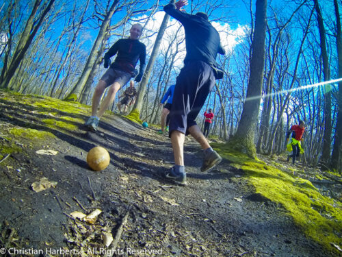 TrailBall Forêt de Meudon 20150405