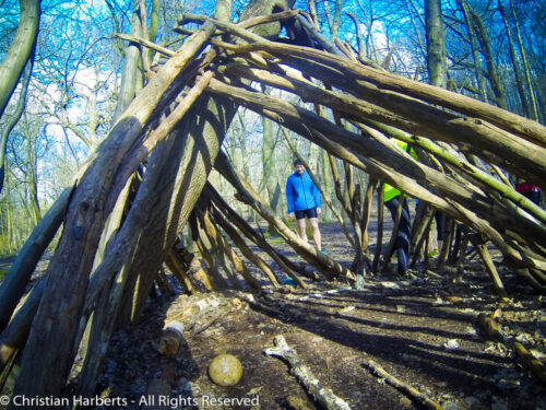 TrailBall Forêt de Meudon 20150405