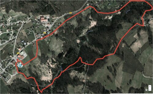 TraildesBrasses-TrailBall-Team-Speed